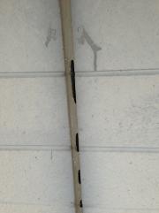 外壁 塗装 豊田市